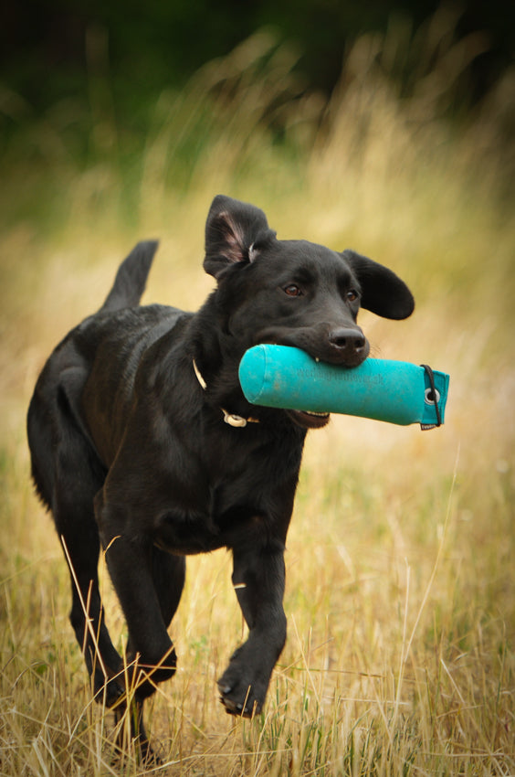 Firedog Standard dummy 500g