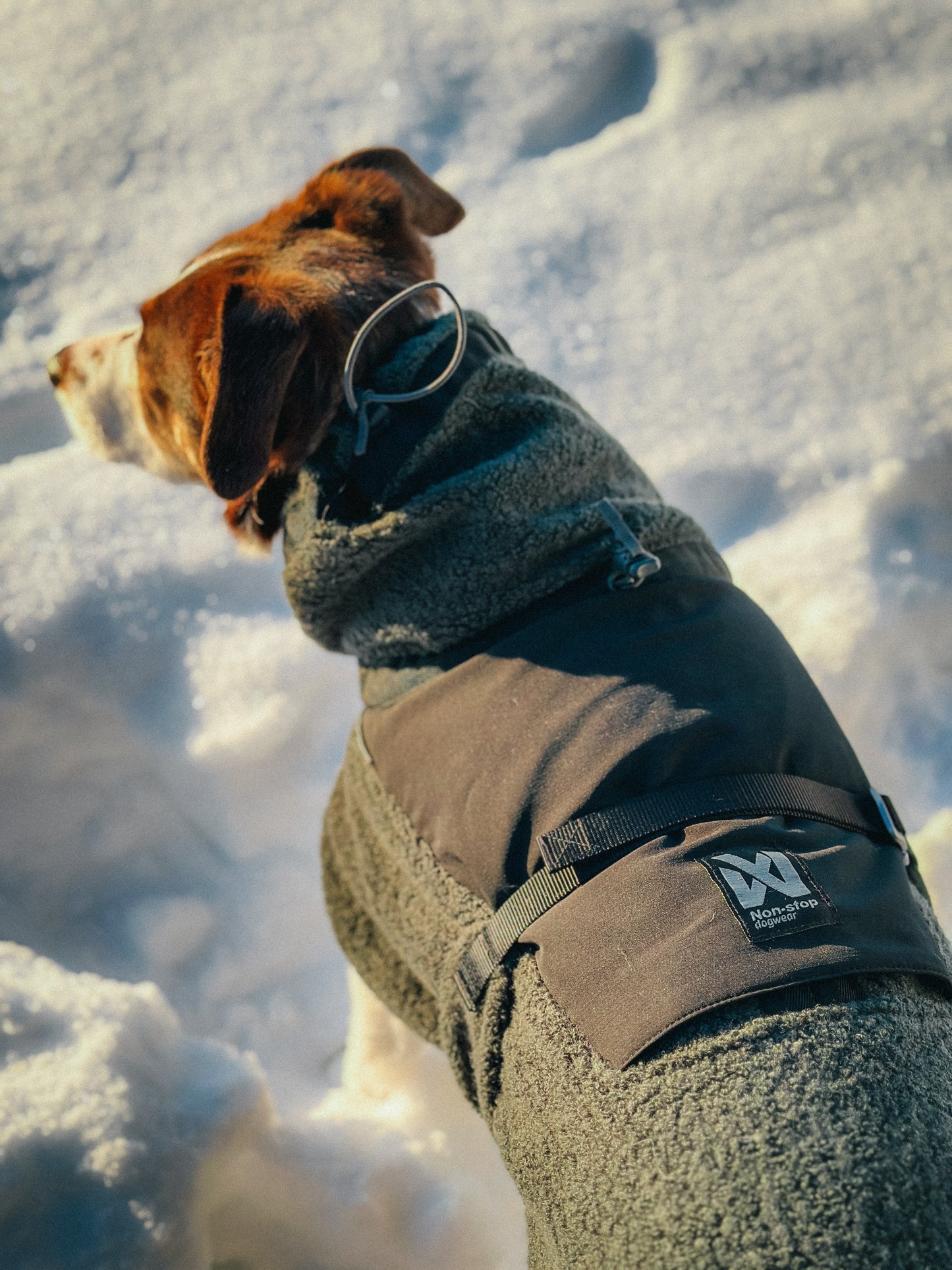 Non-stop Wool dog jacket