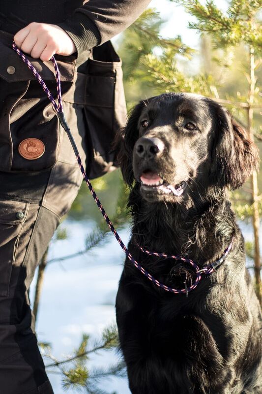 Jaktlydnadsträning (nivå 1)