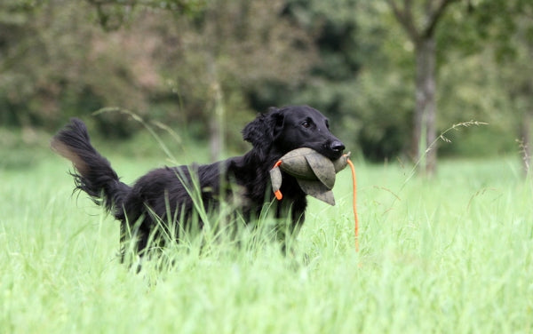 Firedog Duck Dummy 600g