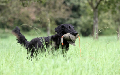 Firedog Duck Dummy 600g