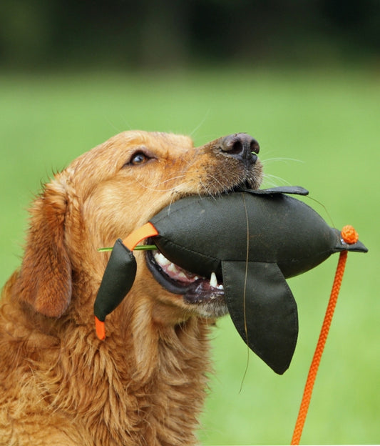 Firedog Duck Dummy 600g