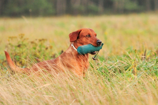 Firedog Standard dummy 500g