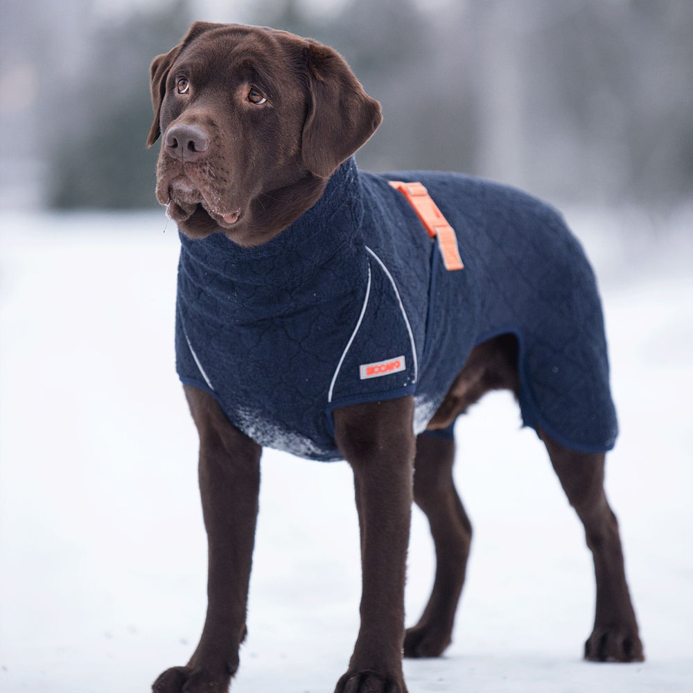 SICCARO WETDOG SUPREME 2.0