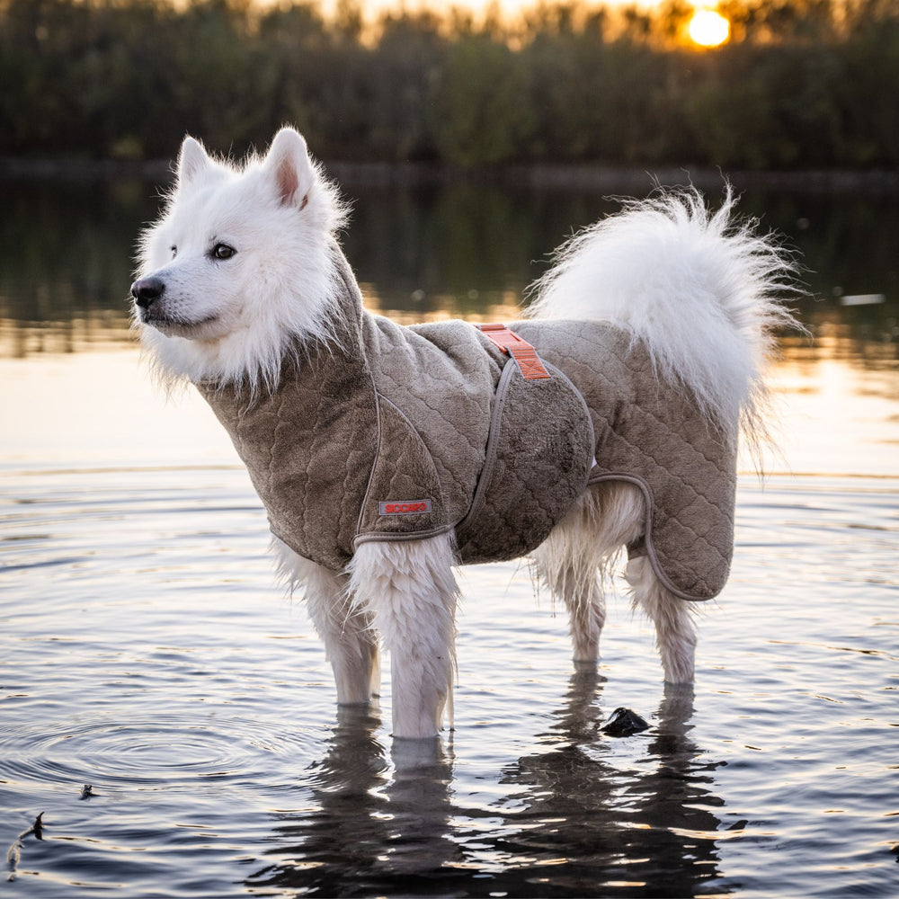 SICCARO WETDOG SUPREME 2.0