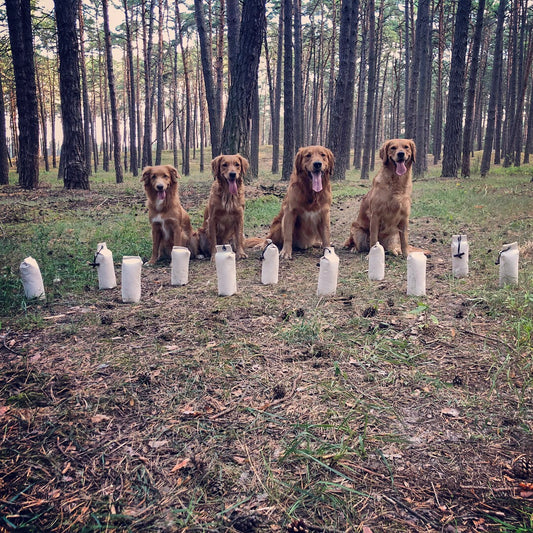 Firedog Linje-dummy 500g, Vit/Blå