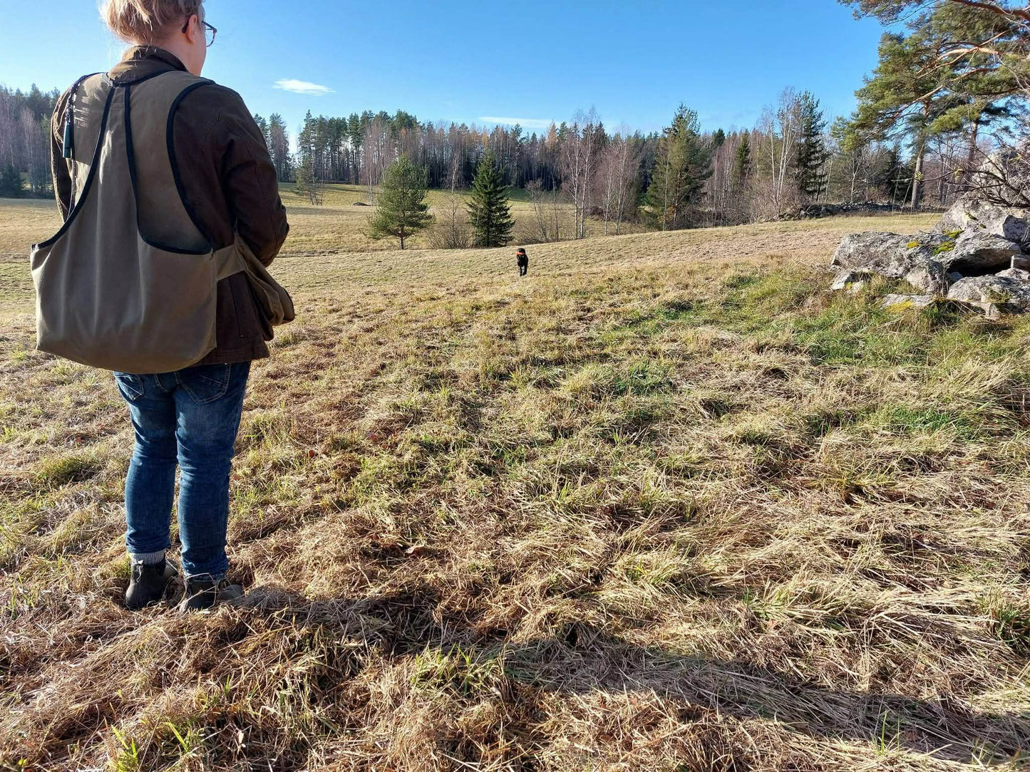 Valpkurs fortsättning, för den blivande apportören