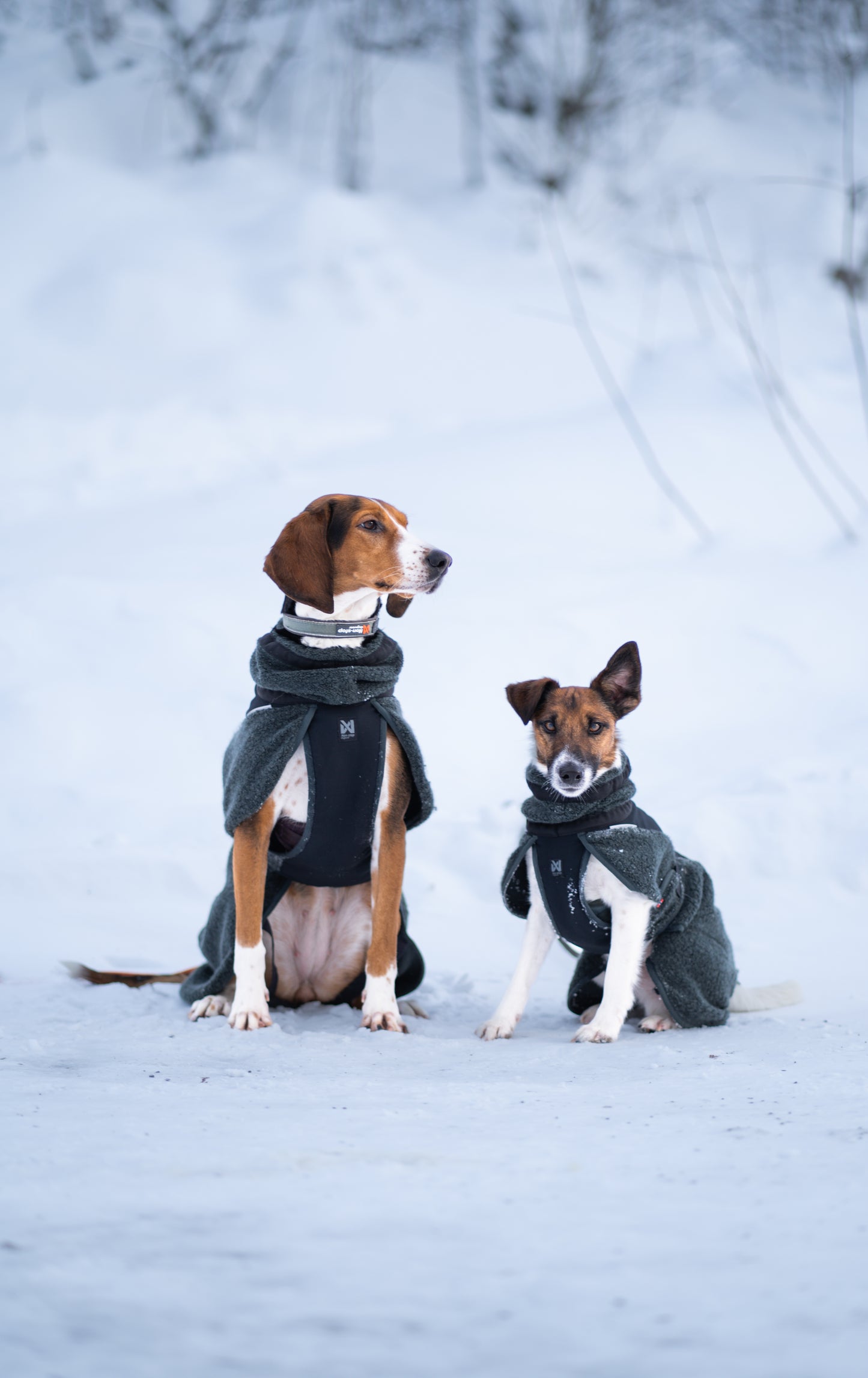 Non-stop Wool dog jacket