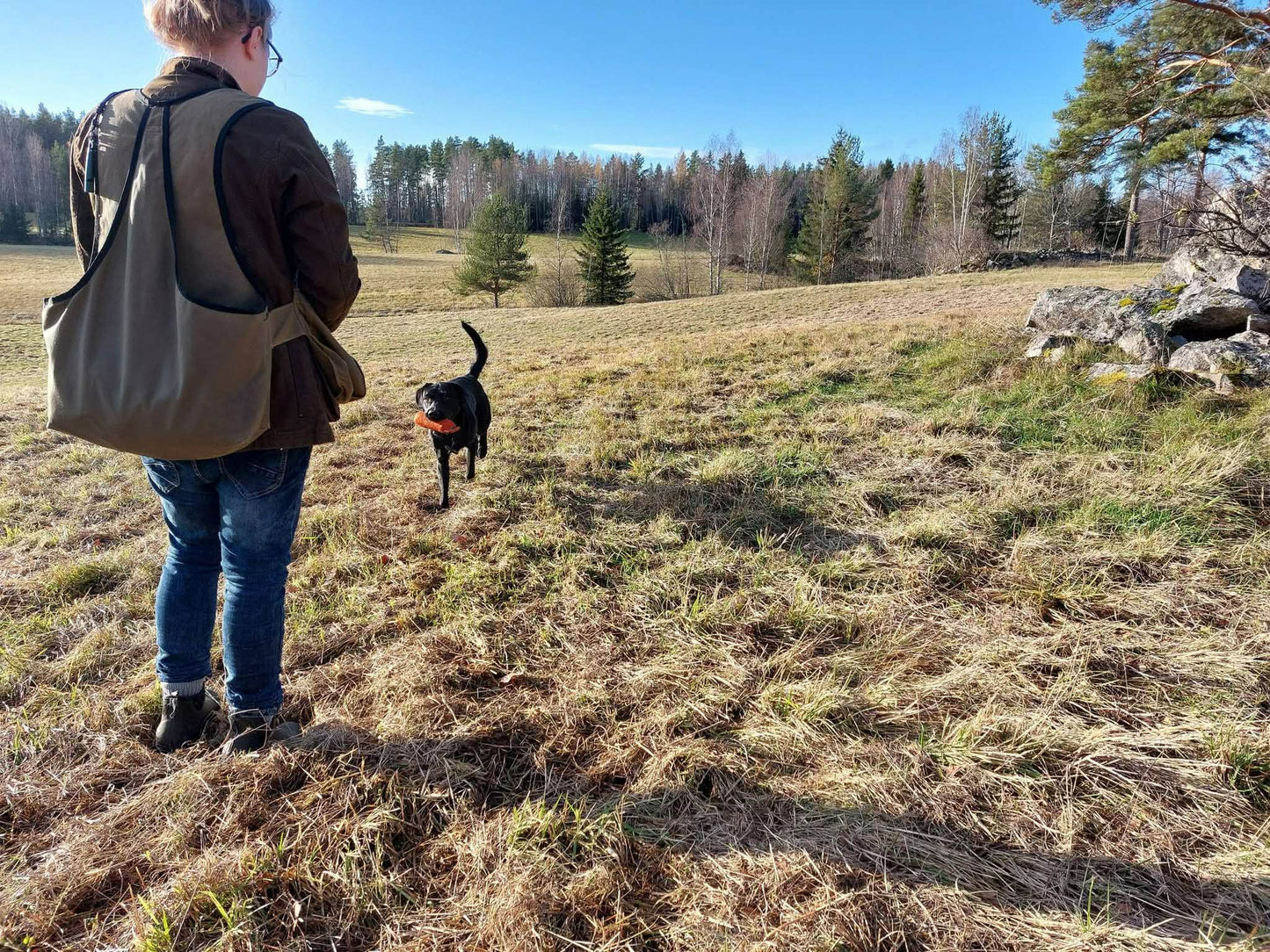 Valpkurs fortsättning, för den blivande apportören