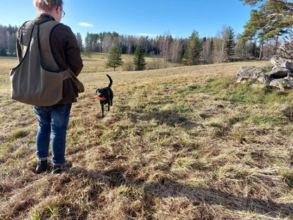Valpkurs fortsättning, för den blivande apportören