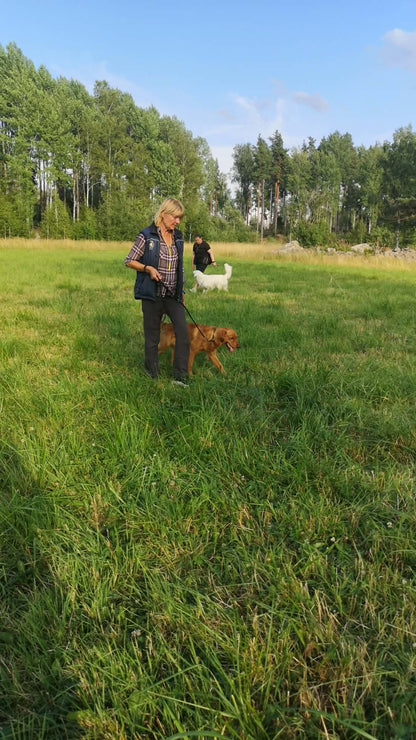 Jaktlydnadsträning (nivå 1)