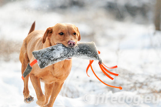 Firedog Fasan Dummy