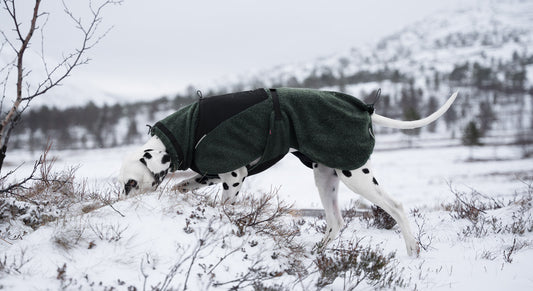 Non-stop Wool dog jacket