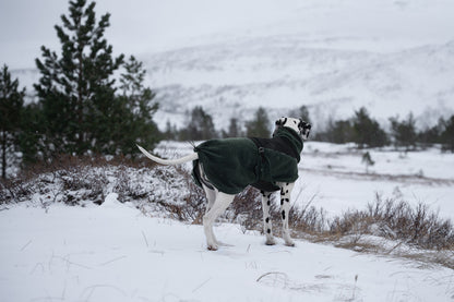 Non-stop Wool dog jacket