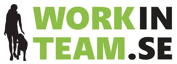Work in team